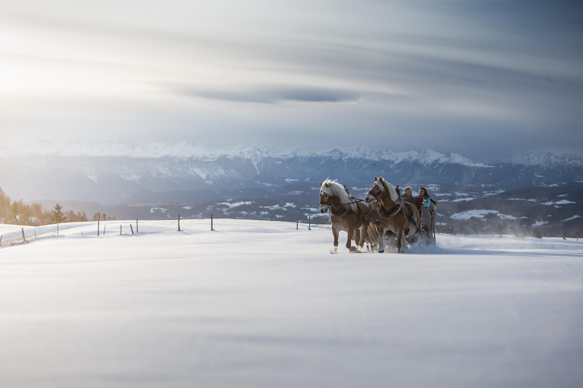 SLEIGH TOWED BY HORSES